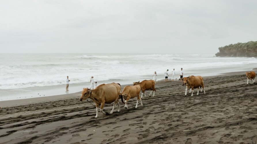 10 Best Beaches in Lombok